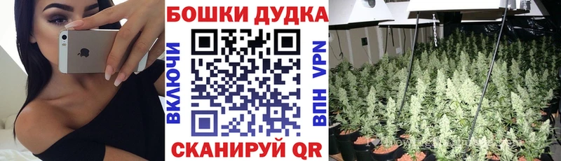 Названия наркотиков Ставрополь СК  omg ссылки  Галлюциногенные грибы  ГАШИШ  Канабис  АМФ 