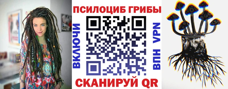 Псилоцибиновые грибы Magic Shrooms mega сайт Ставрополь