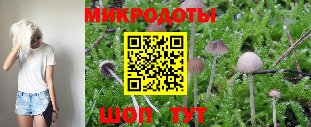 Псилоцибиновые грибы Magic Shrooms Ставрополь